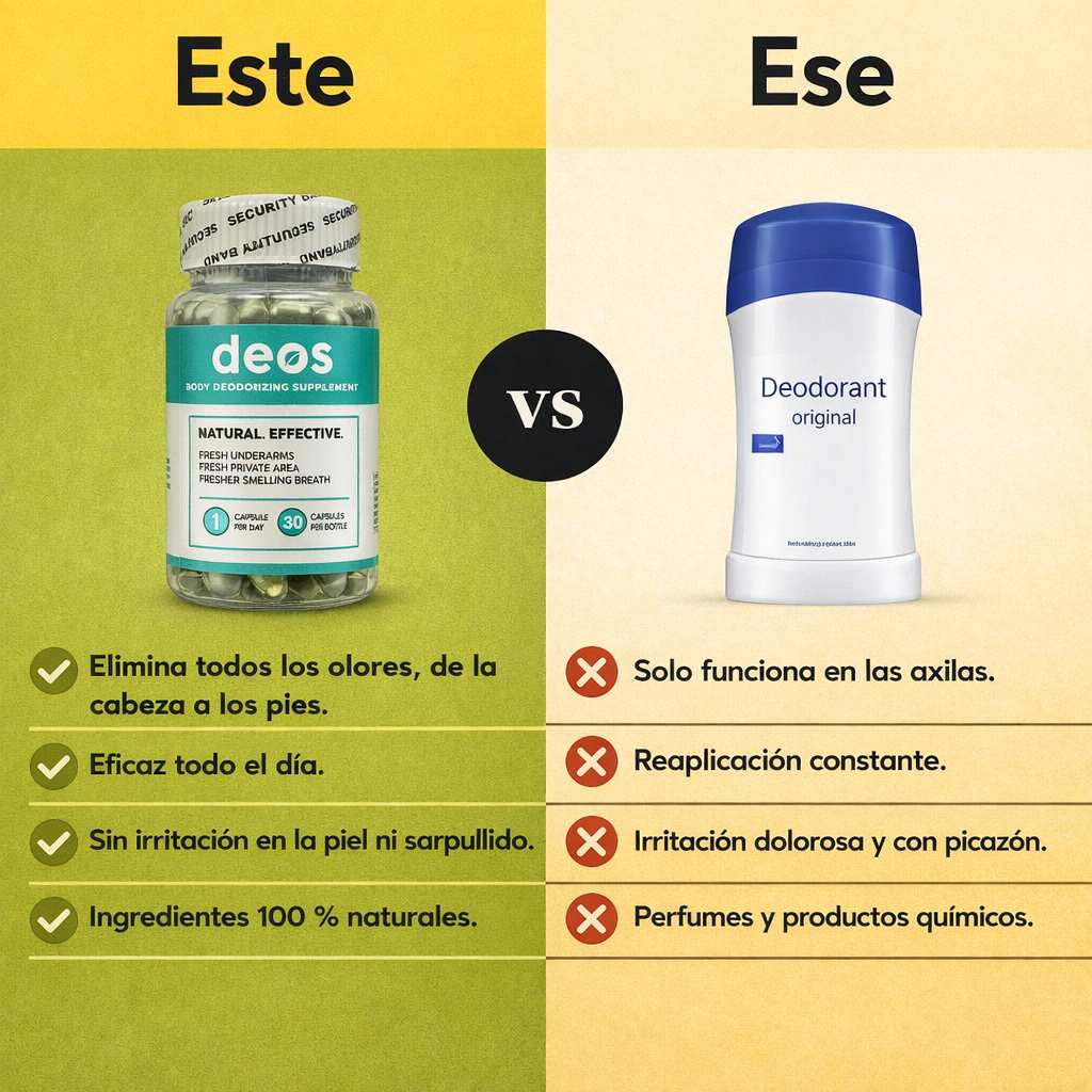 Encabezado