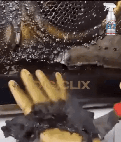 SparkleShine Pro || REMOVEDOR DE MANCHAS PREMIUM