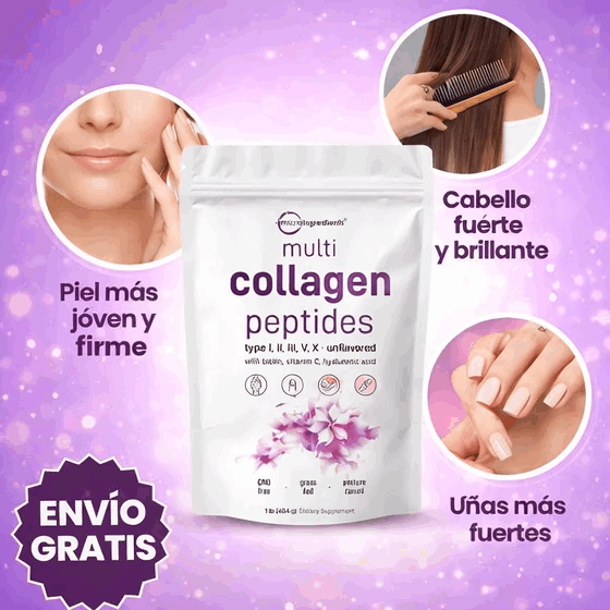 Encabezado
